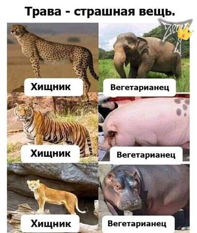 image(126)