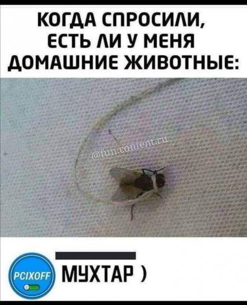 FB IMG 1610252579237