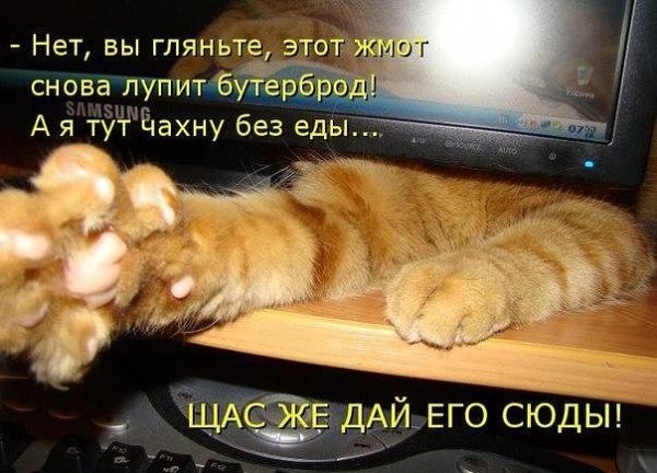 IMG 20150414 183349 41