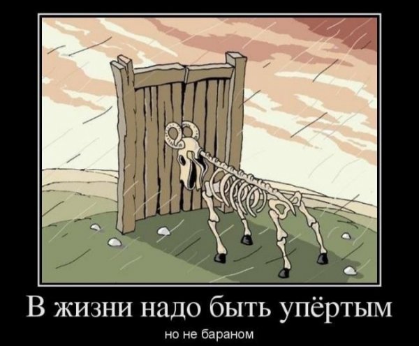 Упрямство