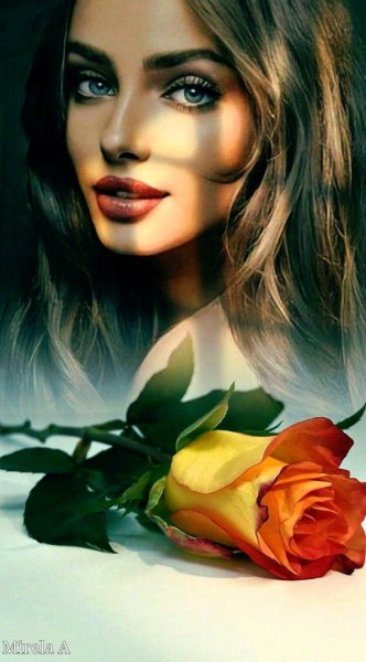 f436cb5d7040c0b5e47bec3f