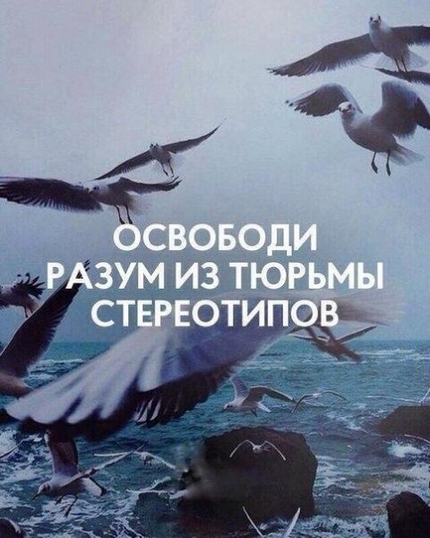5ytnuQT6cjo