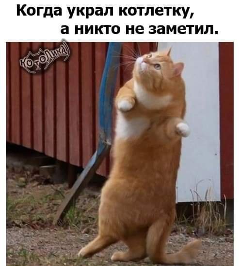 FB IMG 1703346930722