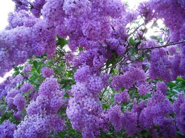 IMG 20170513 150644 2