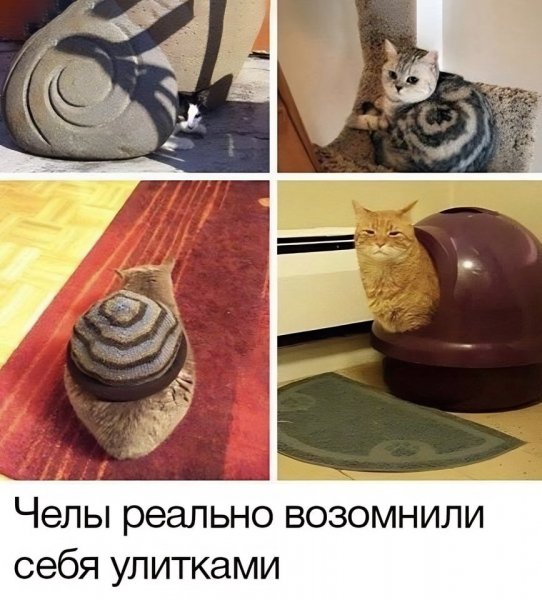 IMG 20260820 173404 331
