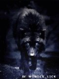 Ава th wonder lick wolf1ag