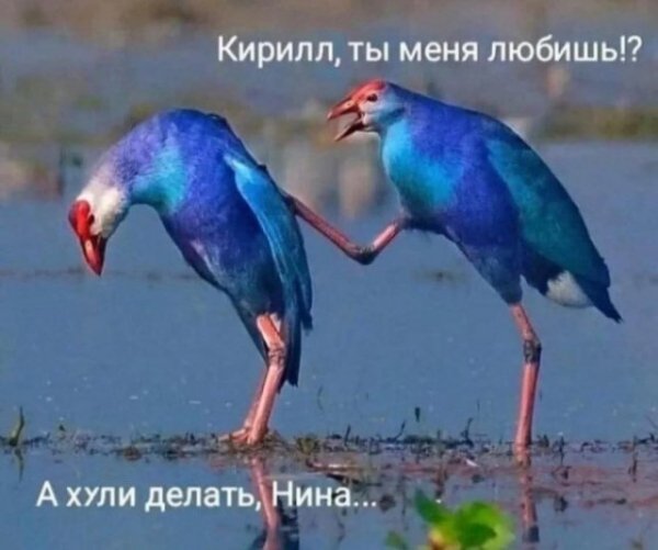 B6c39e4acb 20401413