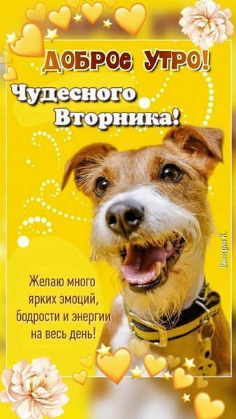 Доброе утро!