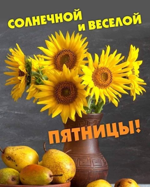 f14806fac5d016063c7777da2ecf92e7