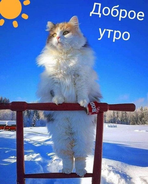 w8xMflv9C0g