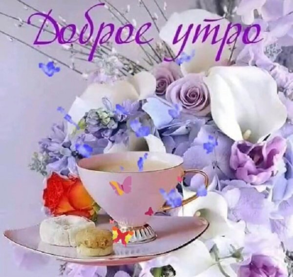 IMG-20210309-WA0000