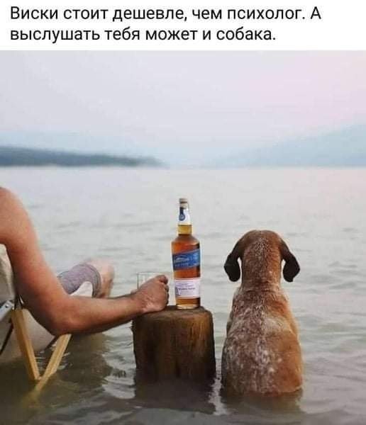 IMG 20260809 100738 362