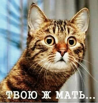 твою ж ... 010000