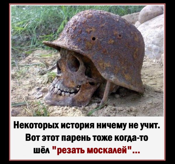 IMG-20230409-WA0007