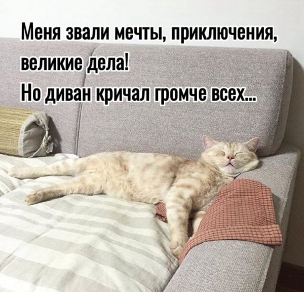 Громче всех...