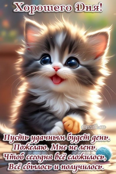 picture_408634999