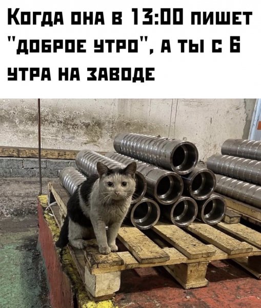 Завод