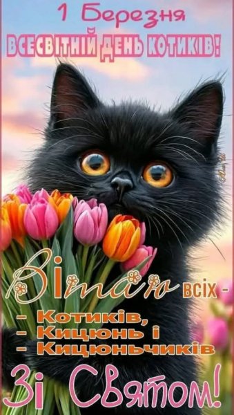 День котиків