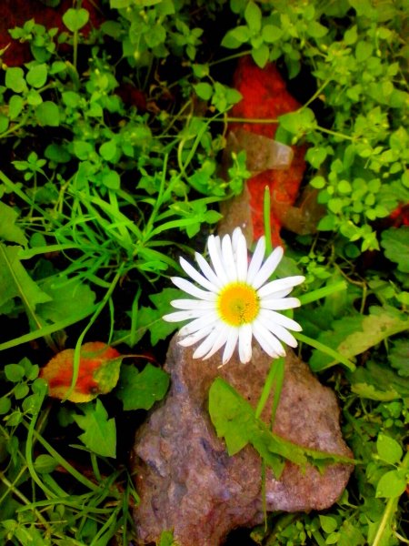 IMG 20160924 121617