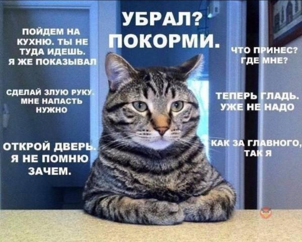 picture_409836385
