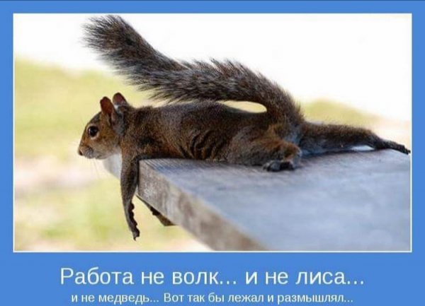 IMG 20200615 203721