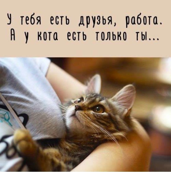 да да