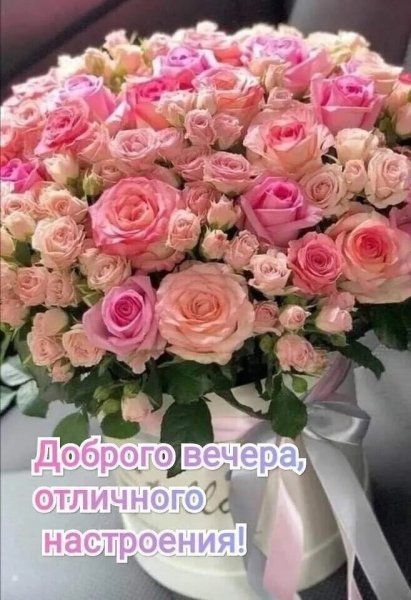 picture_399718536