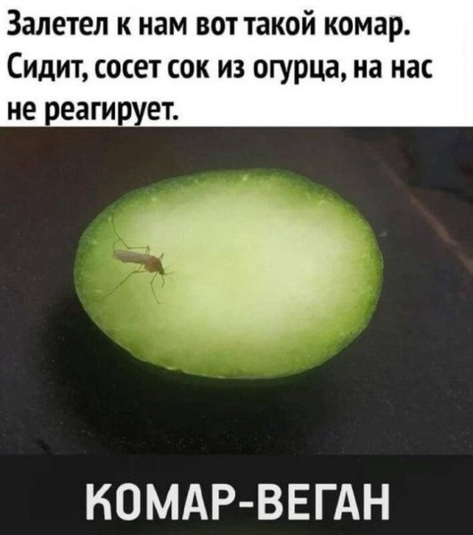 e782d interesnaja-podborka-veselyh-memov-i-kartinok-6