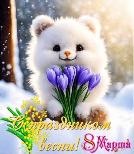 IMG-20250308-WA0010