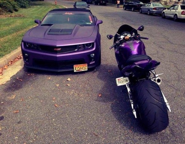 picture_417121795