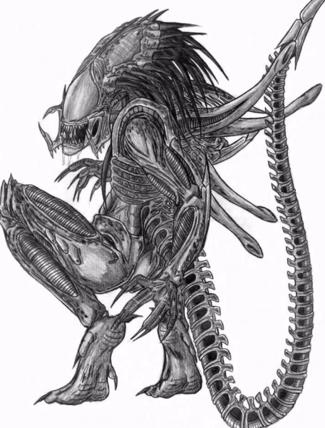the predalien by predaguy