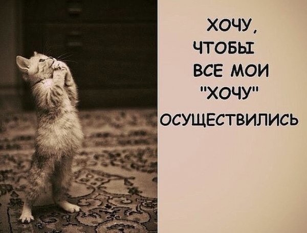 image-19