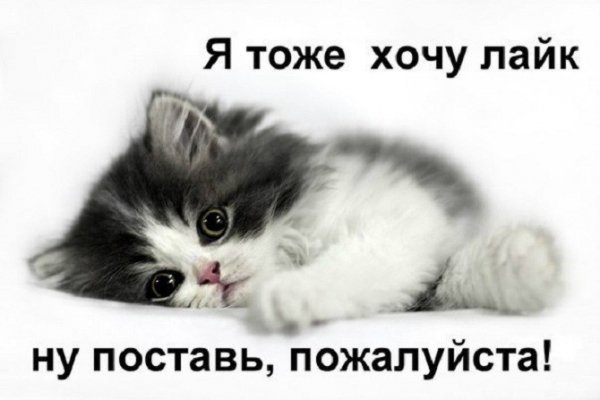 image(214)