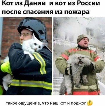 Kartinka439-nashobmen.org