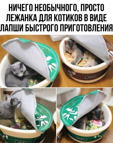 C0c62e8568 20509614