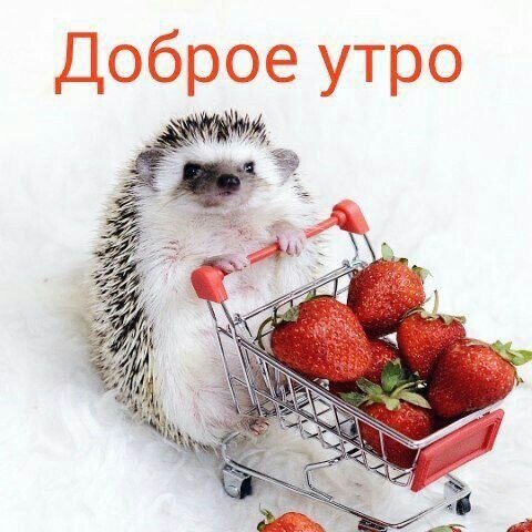 52cfe95c1b32da81b01fb16baeb7bd5f
