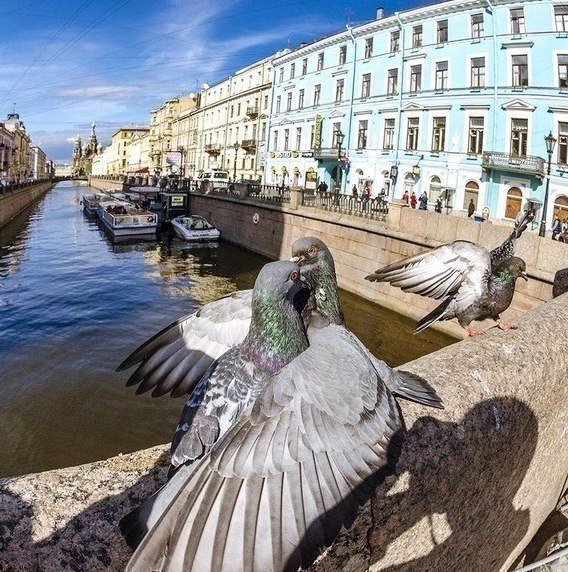 С- Пб..