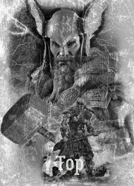 Тор