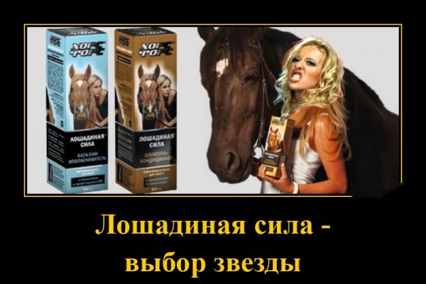 Собчак