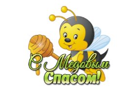 IMG 20190813 183434