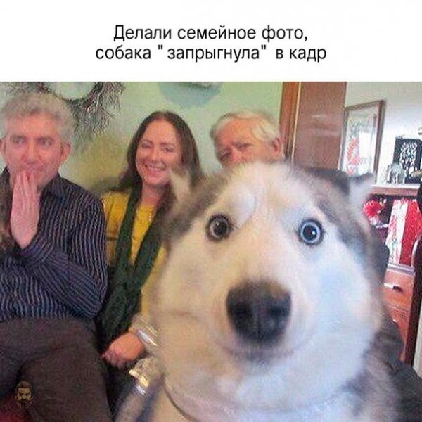 qNeGFyM3uoM