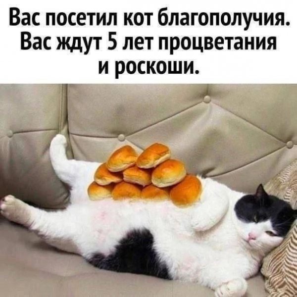 6ab7686540 0000