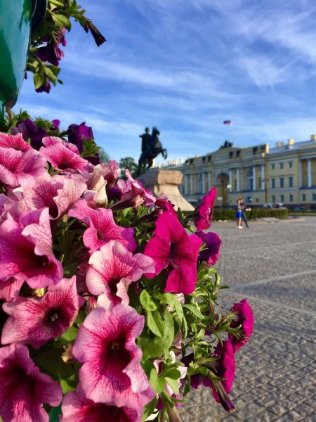 IMG 20180617 185451
