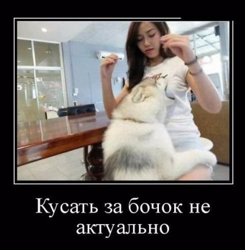 picture_232293113