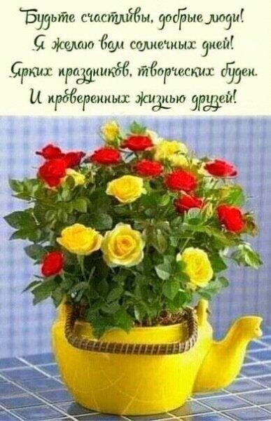 6a3b0d02cee9b0466cfc276f8dc7b984