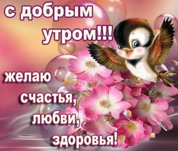 IMG-20220314-WA0000