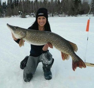 picture_94881895
