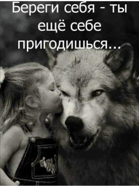 IMG 20210205 024043