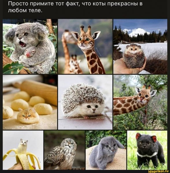 adb341e36b0401f59aa9bea0b12d7367b670183d7f31dd5896790b3eac99a