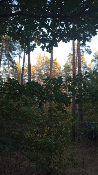 IMG-20250921-WA0003